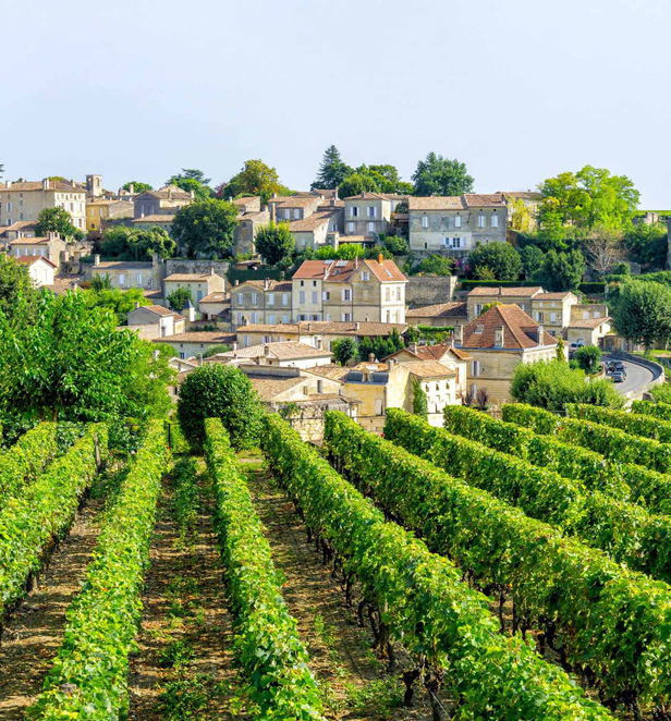 Green vineyards and buildings in Saint Emilion, France